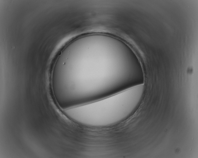 X0000097621416200802290809