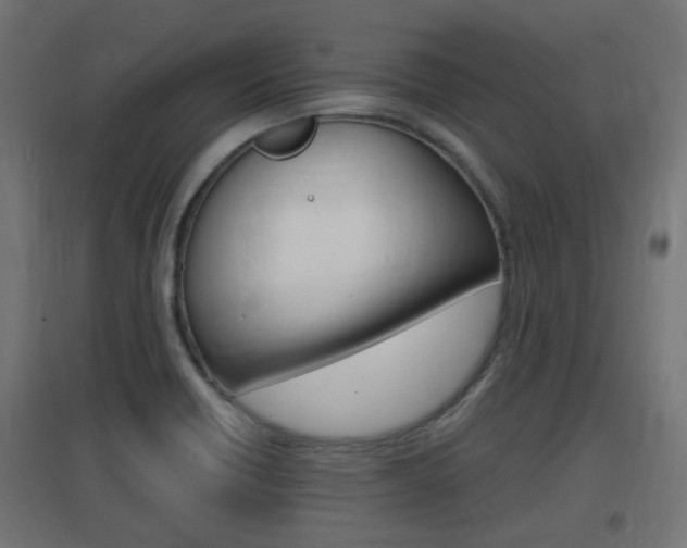 X0000097621418200802290809