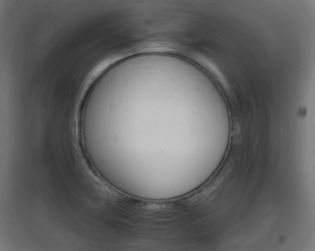 X0000097621419200802290809