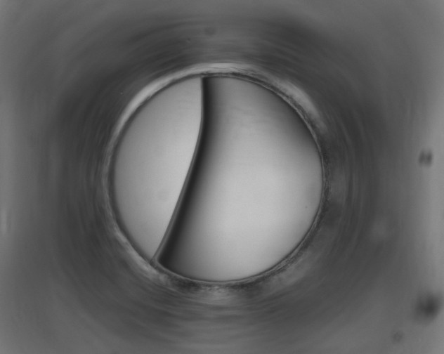 X0000097621420200802290809