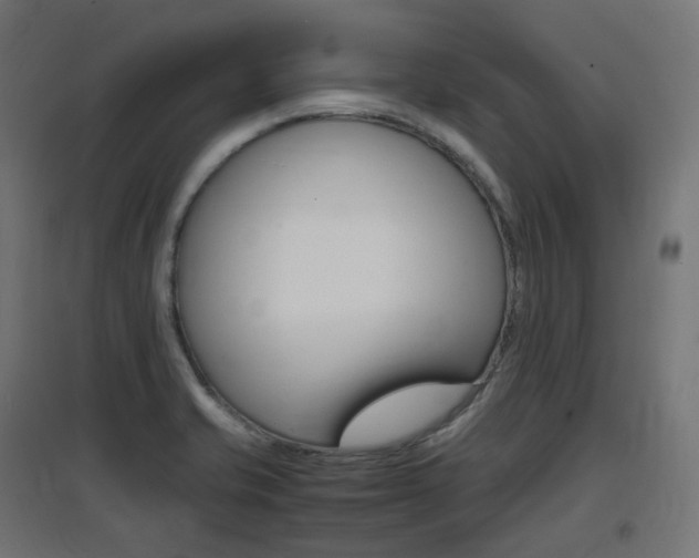 X0000097621421200802290809