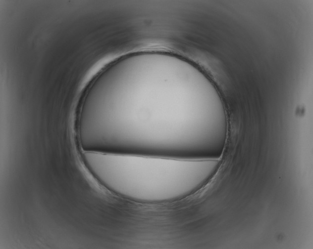 X0000097621422200802290809