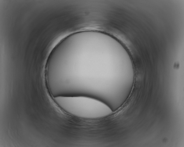 X0000097621423200802290809