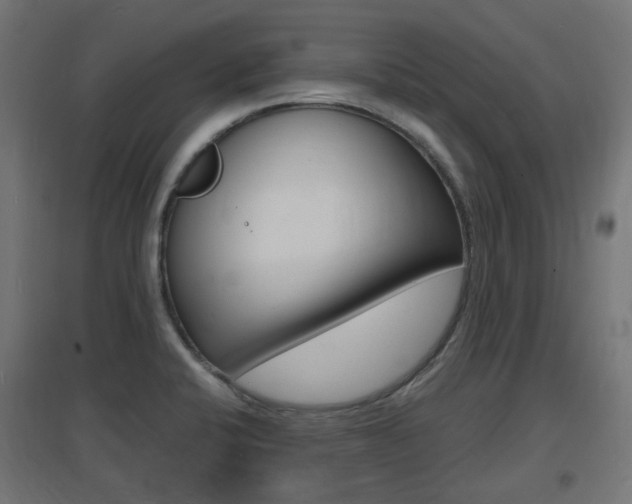 X0000097621424200802290809