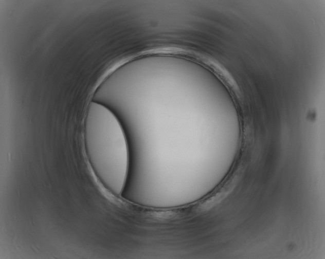 X0000097621425200802290809