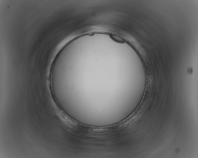 X0000097621427200802290809