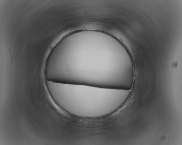 X0000097621429200802290810