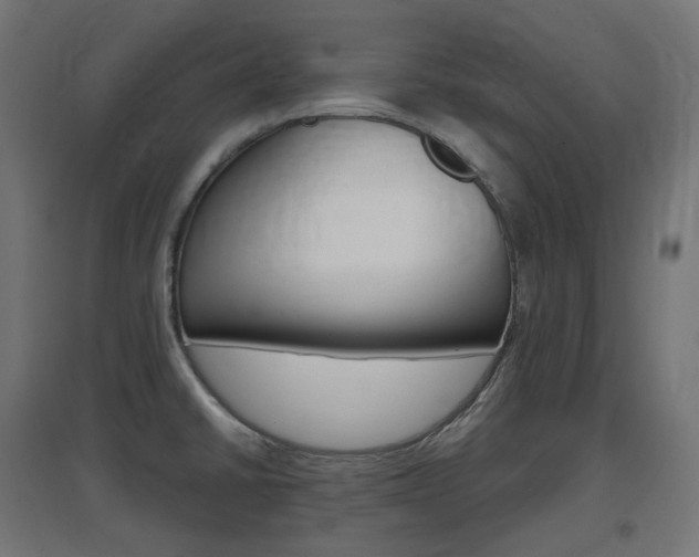 X0000097621430200802290810