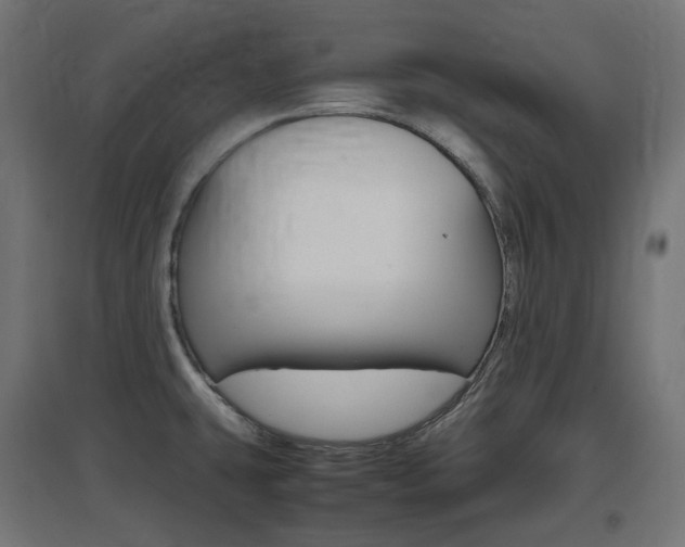X0000097621431200802290810