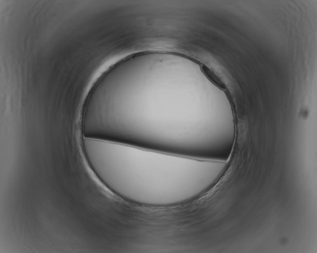 X0000097621432200802290810