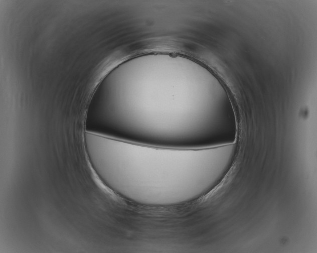 X0000097621433200802290810