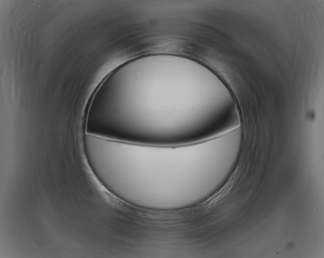 X0000097621434200802290810