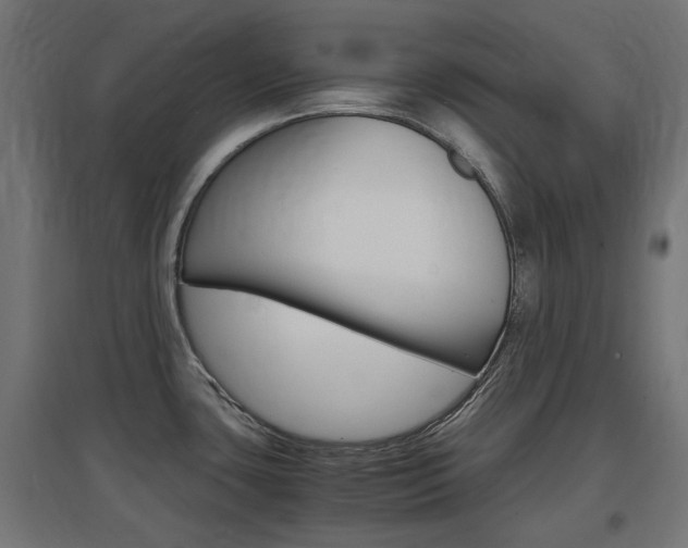 X0000097621435200802290810