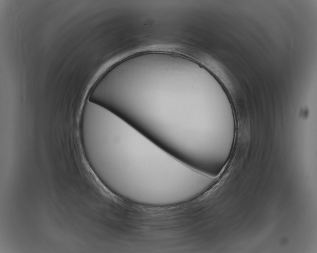 X0000097621436200802290810