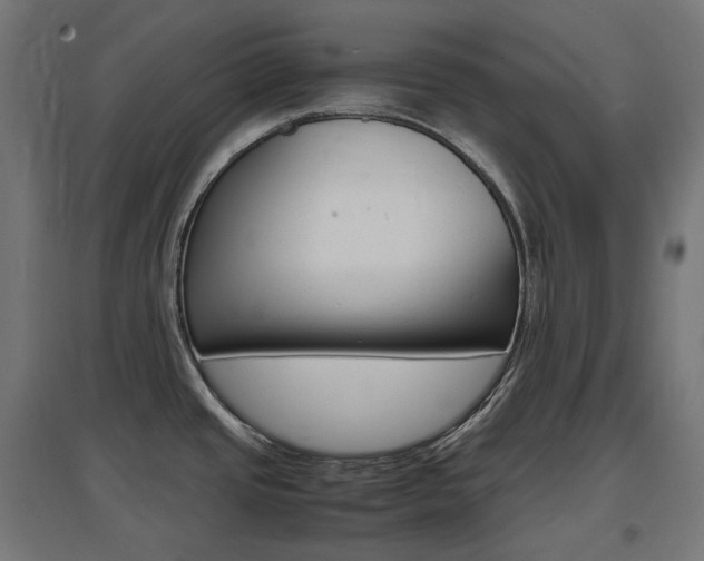 X0000097621437200802290810