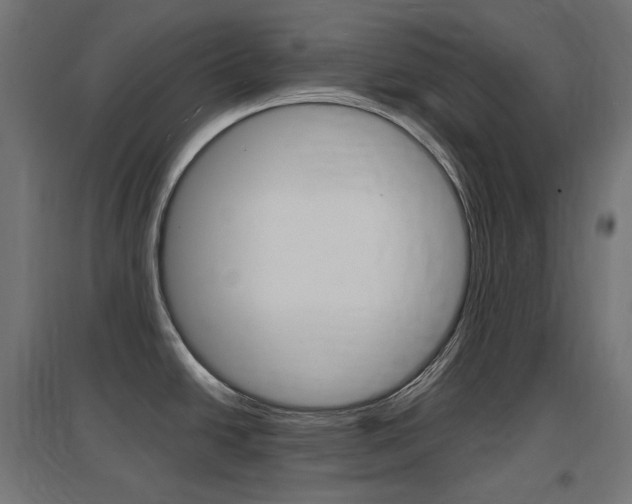 X0000097621438200802290810