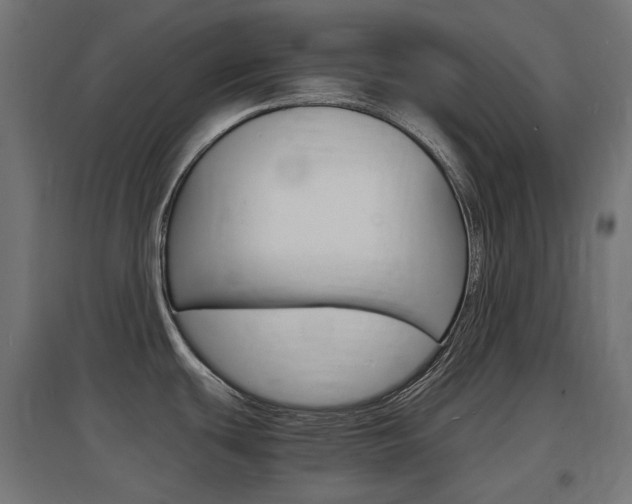 X0000097621439200802290810