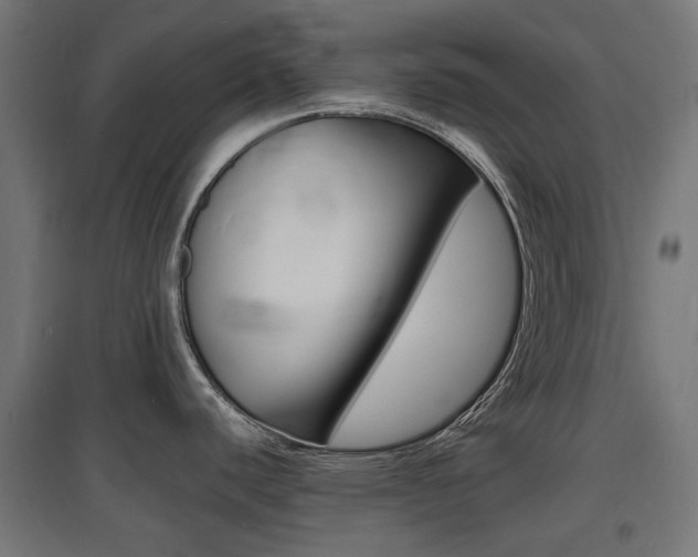 X0000097621440200802290810