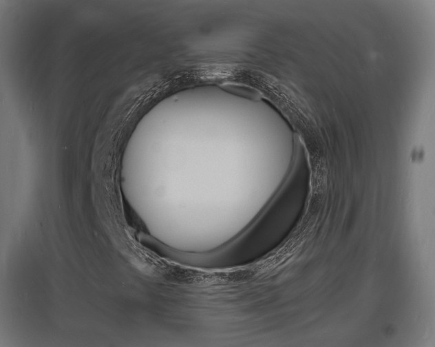 X0000097621441200802290809