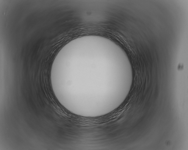 X0000097621442200802290809