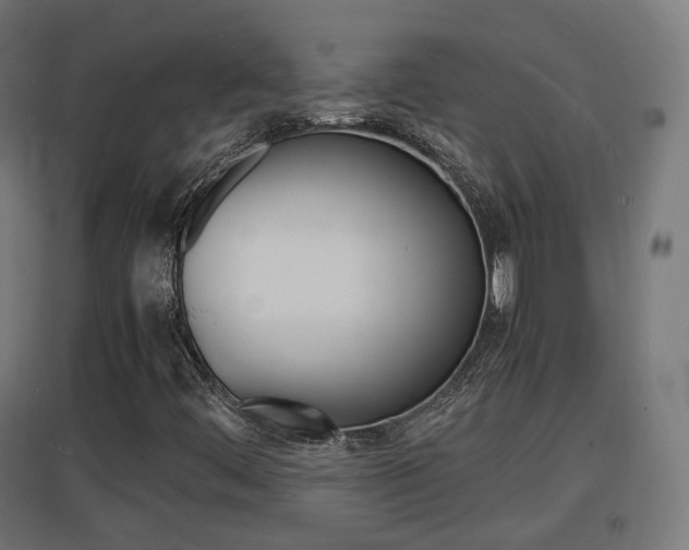 X0000097621444200802290809