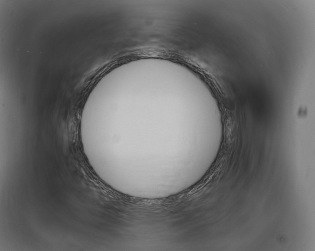 X0000097621446200802290809