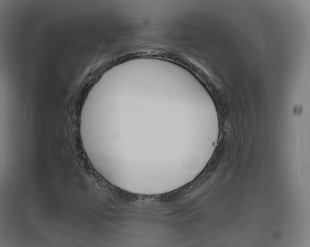 X0000097621447200802290809