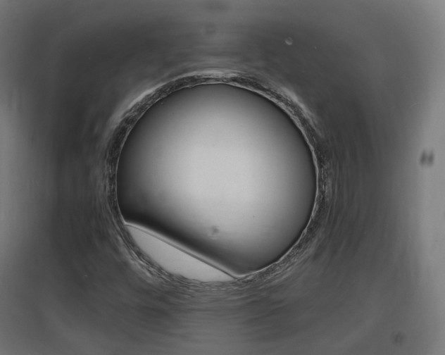 X0000097621448200802290809