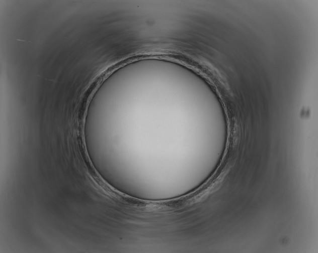 X0000097621449200802290809