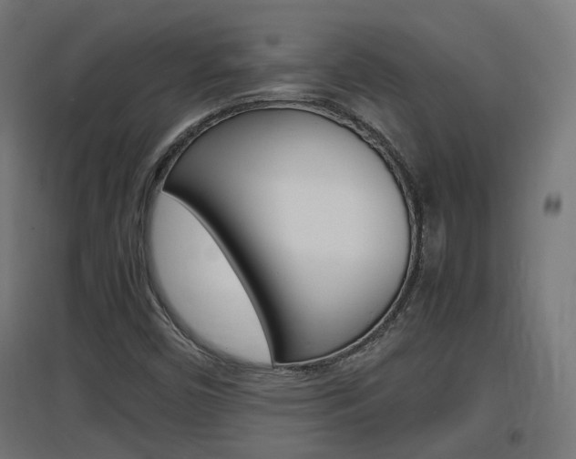 X0000097621450200802290809