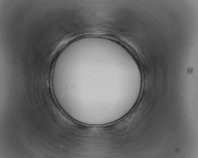X0000097621451200802290809