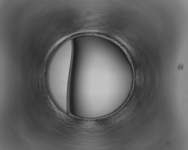 X0000097621452200802290809