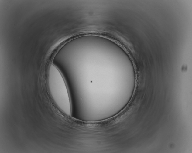 X0000097621453200802290809