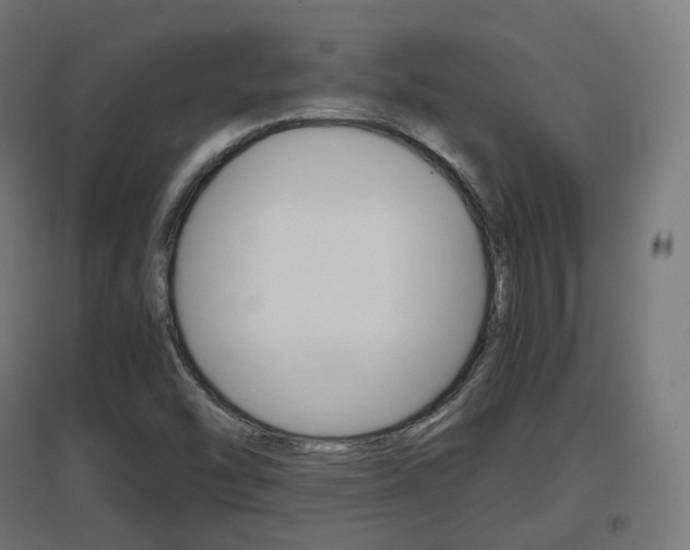 X0000097621454200802290809