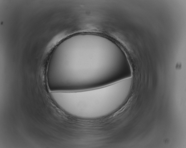X0000097621455200802290809