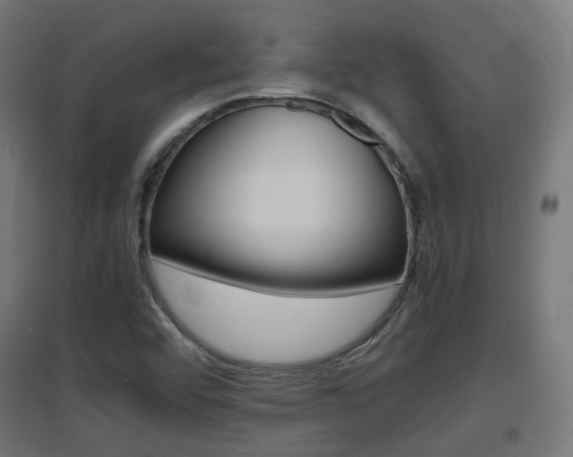 X0000097621456200802290809