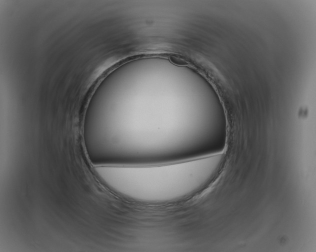 X0000097621457200802290809