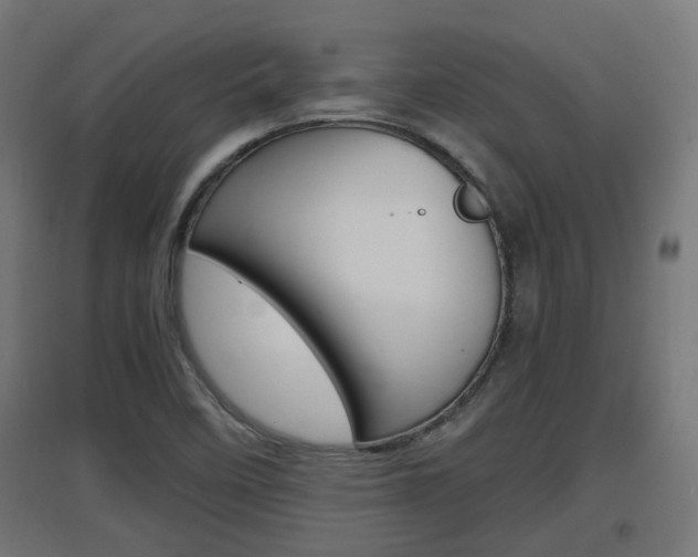X0000097621458200802290809