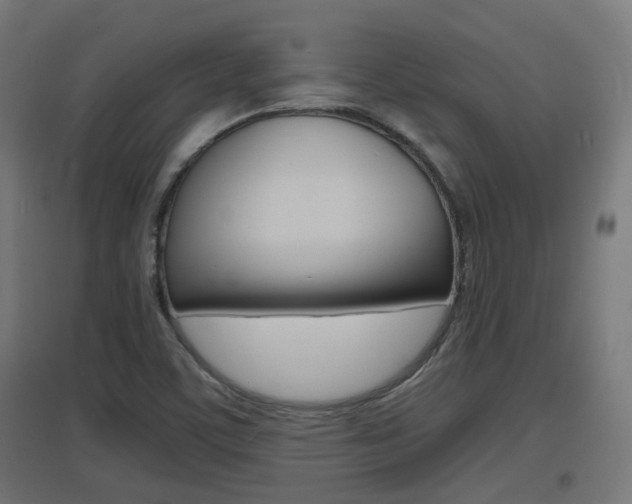 X0000097621459200802290809
