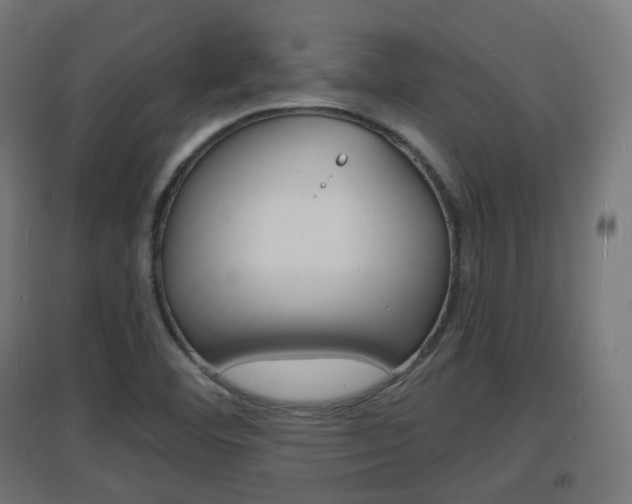 X0000097621460200802290809
