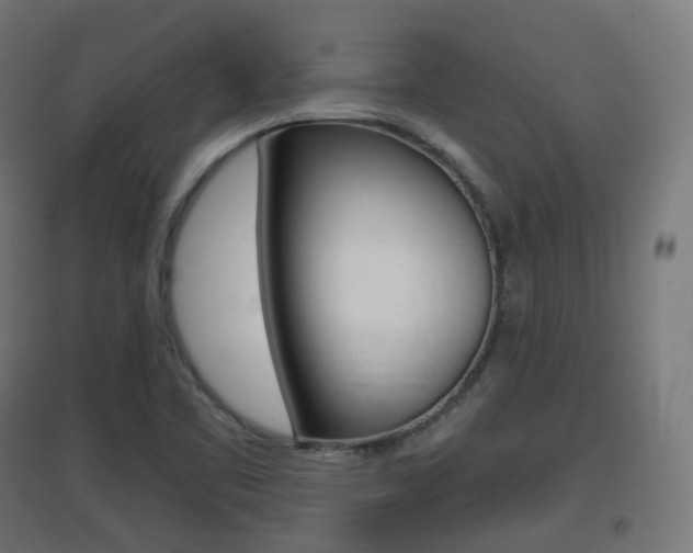 X0000097621461200802290809