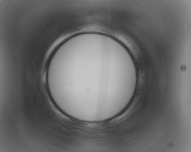 X0000097621462200802290809