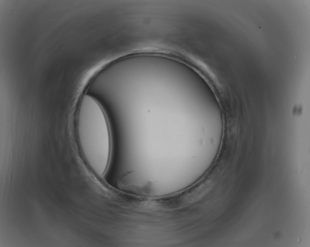 X0000097621463200802290809
