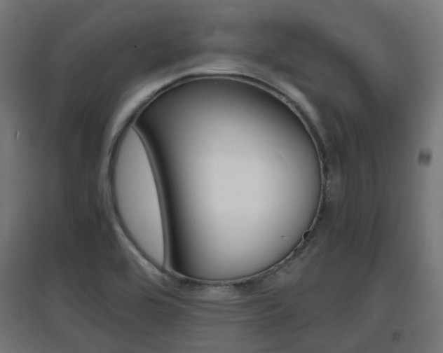 X0000097621464200802290809