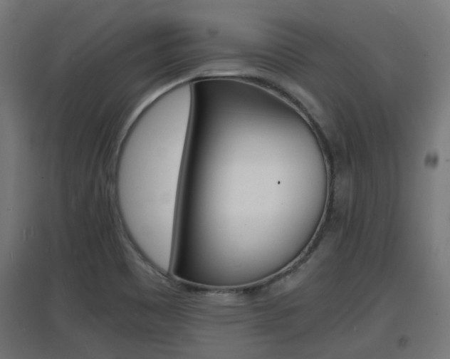 X0000097621465200802290809