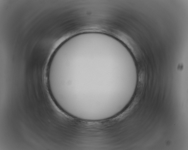 X0000097621466200802290809