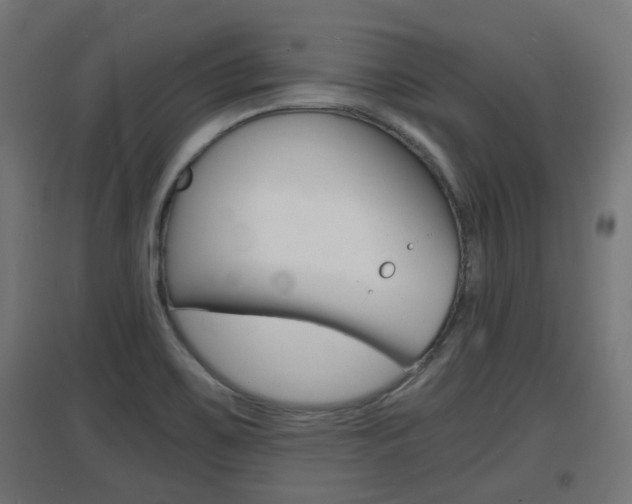 X0000097621467200802290809