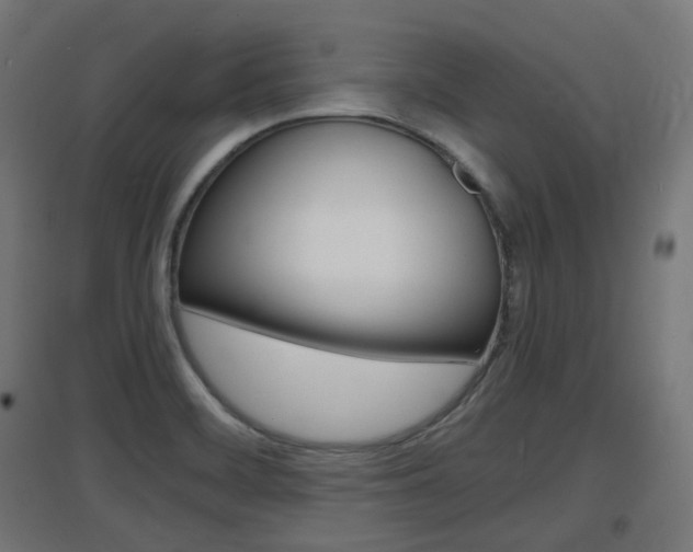 X0000097621468200802290809