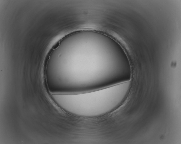 X0000097621469200802290809