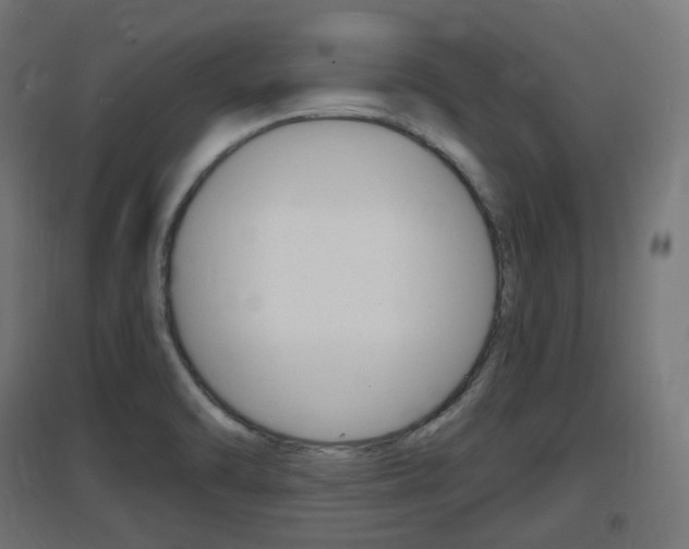 X0000097621470200802290809